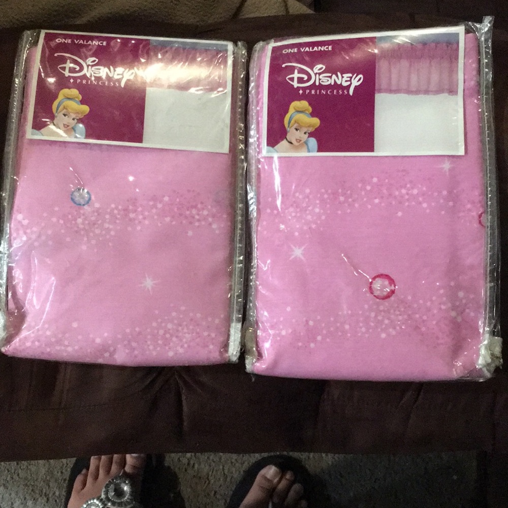 Disney Princess Drapery.